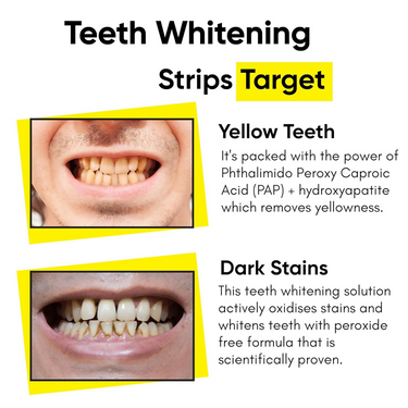 https://cdn.shopify.com/s/files/1/1857/6931/files/Y96ja3bBZk.png?v=1728631519